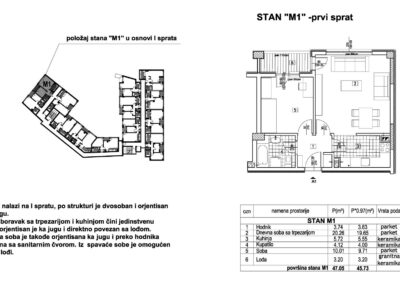 Stan M1