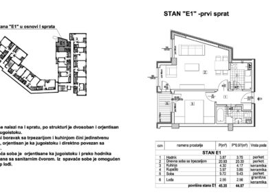 Stan E1